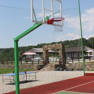 Basketballanlage Heavy, Professionell,artikelnr. 105-D/Professional