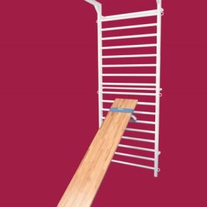 Schrägbrett aus Buche für Sprossenwand,1900x370 mm,artikelnr. 251-F