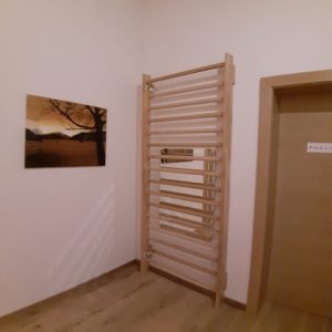 Sprossenwand Wuppertal, 2x0.85m, Artikelnr. 253-Reha-Buche